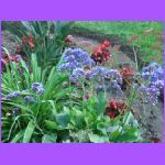 Flowers 2.jpg